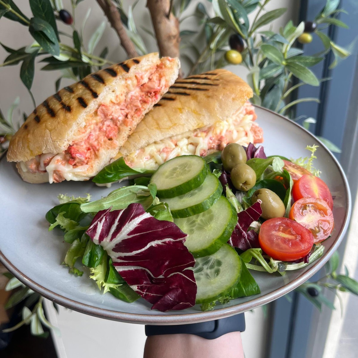 Olive Kitchen